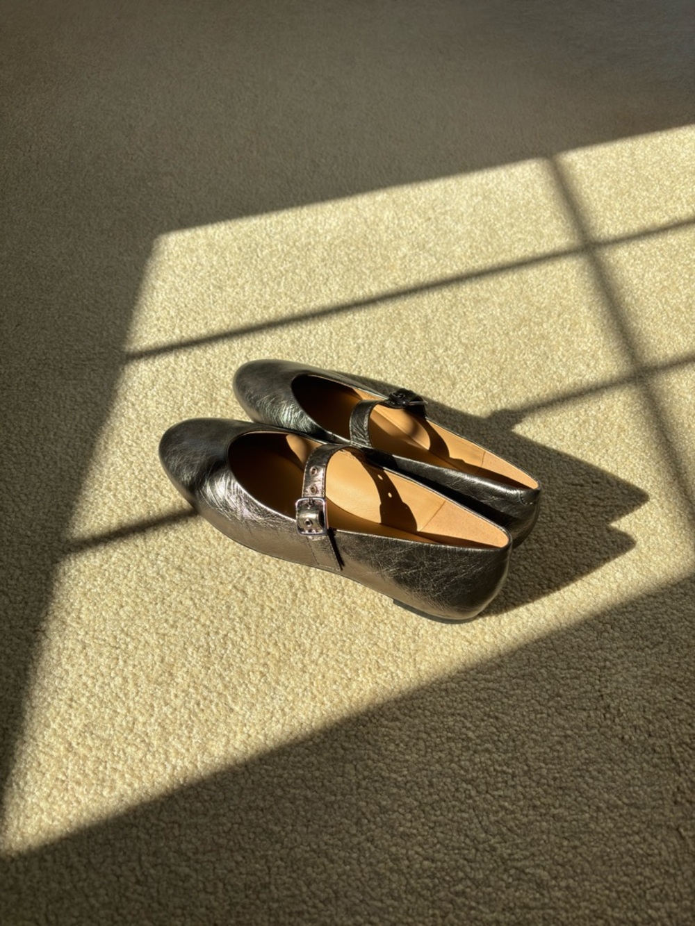 The Remy Mary Jane Flat In Metallic Leather